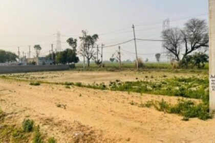 Jalandhar News: जालंधर के कालोनाइजर के खिलाफ FIR दर्ज, अवैध कालोनी काटकर सरकार को लगाया करोड़ों का चूना, अगर आपने भी इसकी अवैध कालोनी में खरीदा है प्लाट, तो हो जाए सावधान