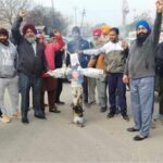 Punjab Farmers Protest: पंजाब में केंद्रीय बजट के खिलाफ भड़के किसान, अलग-अलग जगहों पर करेंगे विरोध प्रदर्शन