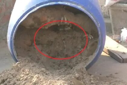 Punjab News: पंजाब में बड़ी वारदात, चाचा ने भतीजे की हत्या कर मिट्टी के ड्रम में छिपाया शव