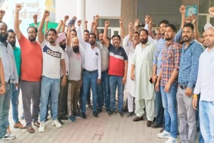 Jalandhar News: नगर निगम के मुलाजिमों ने दिया धरना, कहा - हमें पक्का करो