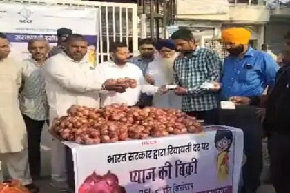 Jalandhar News: जालंधर में बिक रहा है 25 रुपए किलो प्याज, ऐसे खरीदें