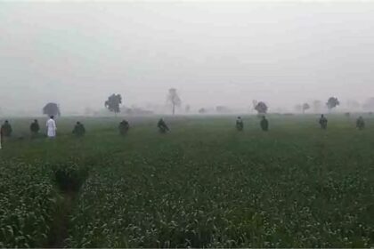 Punjab News: भारतीय सीमा में फिर दिखा पाकिस्तानी ड्रोन, सर्च ऑपरेशन जारी