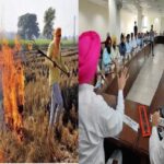 Punjab News: पराली जलाने से होने वाले प्रदूषण को रोकने के लिए पंजाब सरकार उठाएगी कदम