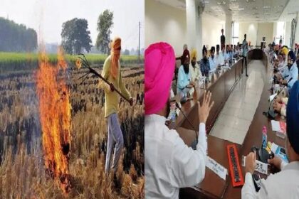 Punjab News: पराली जलाने से होने वाले प्रदूषण को रोकने के लिए पंजाब सरकार उठाएगी कदम