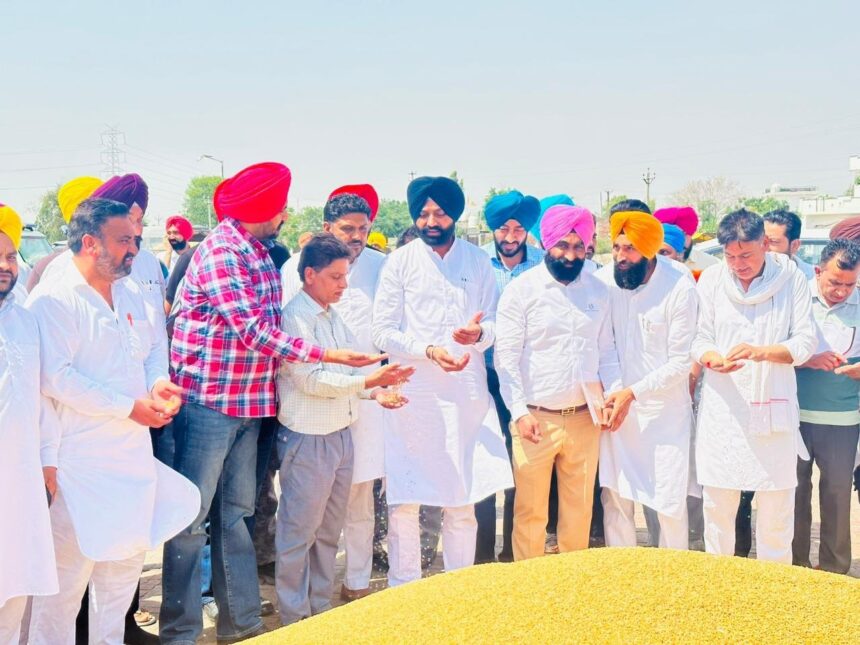 Punjab News: कैबिनेट मंत्री लालजीत सिंह भुल्लर ने पट्टी की मंडियों में गेहूँ की ख़रीद शुरू करवाई