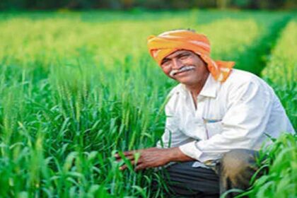 उत्तर प्रदेश के दो करोड़ से अधिक किसानों को मिलेंगे 4333.40 करोड़ रुपए, जाने वजह