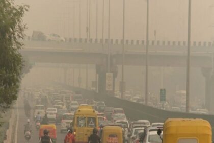Pollution In Punjab: लुधियाना में बढ़ा प्रदूषण का स्तर, लोगों को सांस लेने में हुई परेशानी