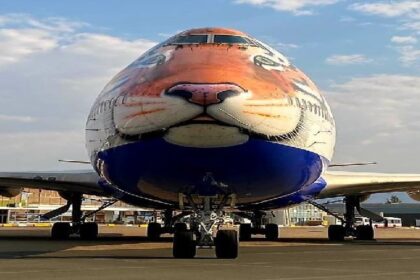 Cheetah Project: इस दिन विमान के जरिये नामीबिया से भारत लाए जाएंगे चीते