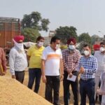 पंजाब की मंडियों में अब तक धान की कुल आमद में से 96 प्रतिशत की खऱीद