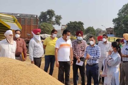 पंजाब की मंडियों में अब तक धान की कुल आमद में से 96 प्रतिशत की खऱीद