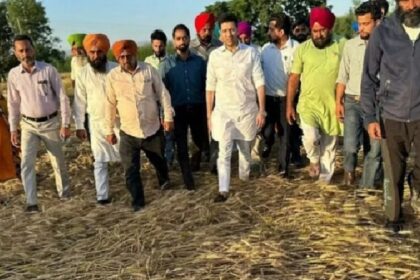 Punjab News: सांसद राघव चड्ढा ने क्षतिग्रस्त फसलों का लिया जायजा, केंद्रीय वित्त मंत्री को लिखा पत्र