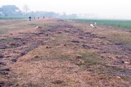 Railway Line Stolen – बिहार में पुल और टावर चोरी के बाद 2 KM पटरी चोरी