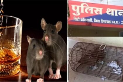 Viral News: थाने में चूहों की शराब पार्टी, खाली कर दी शराब की 60 बोतलें; एक चूहा गिरफ्तार, अब अदालत में होगी पेशी