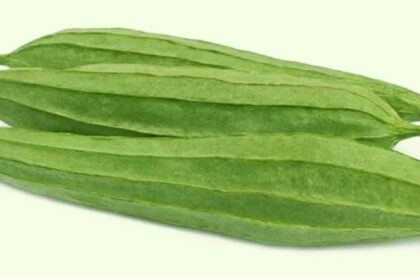 Ridge Gourd Benefits: सेहत के लिए गुणकारी है पोषक तत्वों से भरपूर तुरई, जानें इसके फायदे