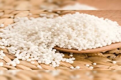 Sabudana Benefits: बीपी के मरीजों से लेकर हड्डियां मजबूत करने तक बहुत फायदेमंद है ये साबूदाने