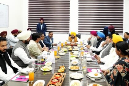 Punjab News: सीएम भगवंत मान ने सीवेज ट्रीटमेंट प्लांट का किया उद्घाटन