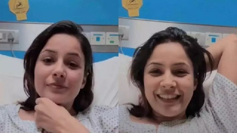 Bollywood Punjabi Actress Shehnaaz Gill