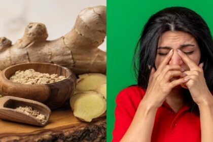 Foods For Sinus Relief: जाने क्या है साइनस इन्फेक्शन? राहत के लिए डाइट में शामिल करें ये हेल्दी फूड्स