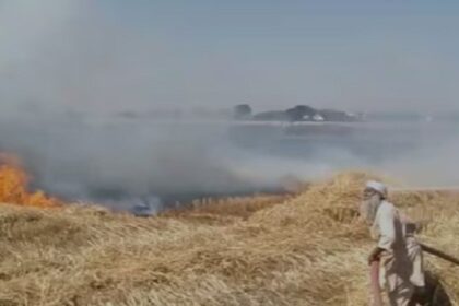 Punjab News: कंबाइन की चिंगारी से गेहूं में लगी आग, कई एकड़ फसल जलकर हुई राख