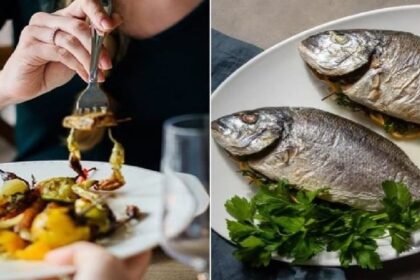 Vibrio vulnificus: जानें क्या है विब्रियो वुल्निफिकस और इसके लक्षण