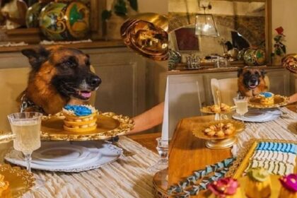 World Richest Dog: दुनिया का सबसे अमीर कुत्ता, रहने को बंगला, BMW की सवारी, सेवा करते हैं नौकर-चाकर! संपत्ति जान के रह जाएंगे दंग