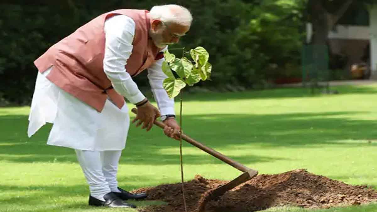 Narendra Modi Sindoor Plant Photo News