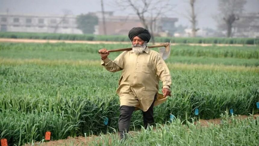 Punjab News: पंजाब के किसानों के सामने अब नई मुसीबत