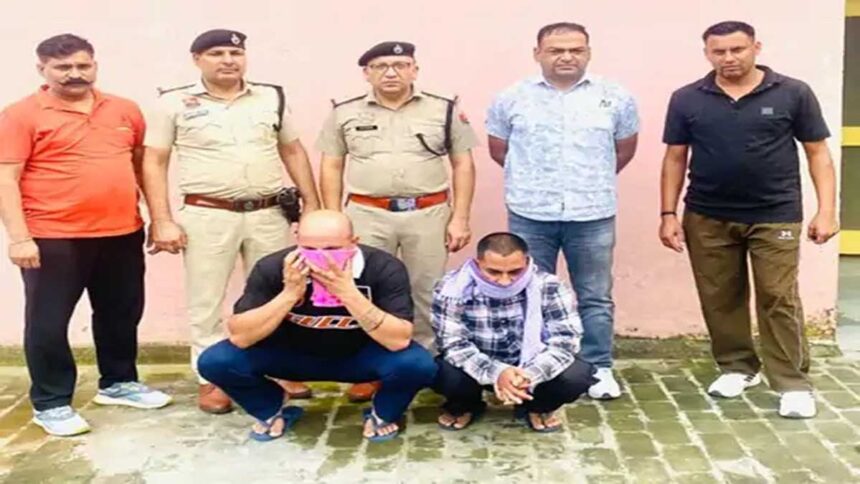 15 lakhs cheated in the name of sending to Canada