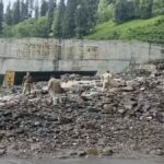 Himachal Pradesh Weather