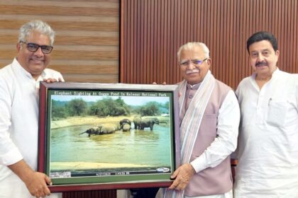 Haryana News
