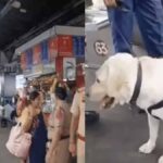 Bomb alert in Amritsar-Delhi Shatabdi, Dog squad also called to investigate.