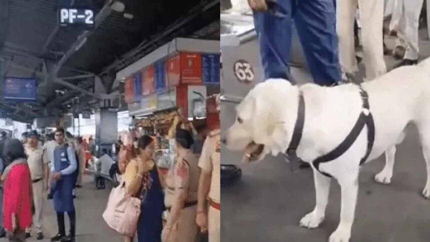 Bomb alert in Amritsar-Delhi Shatabdi, Dog squad also called to investigate.
