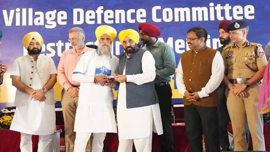 Members of Defence Committees will protect villages and cities