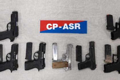 Cross-border arms smuggling network busted