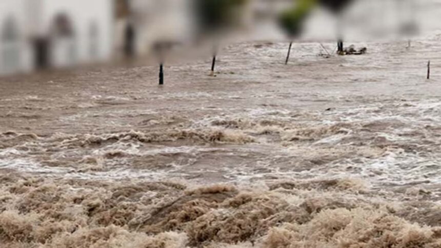 Flood Alert In Punjab