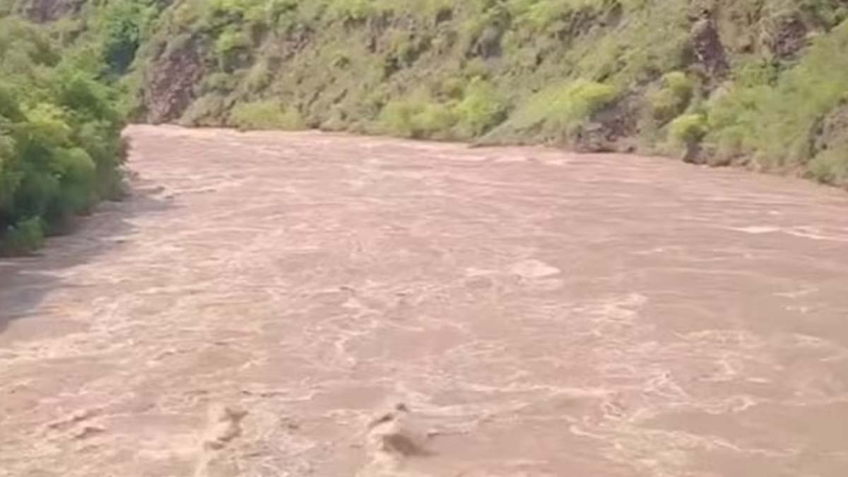 Flood Alert In Punjab