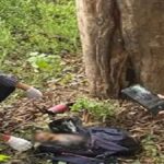 In Jalandhar, grandparents strangled a 6-month-old girl to death