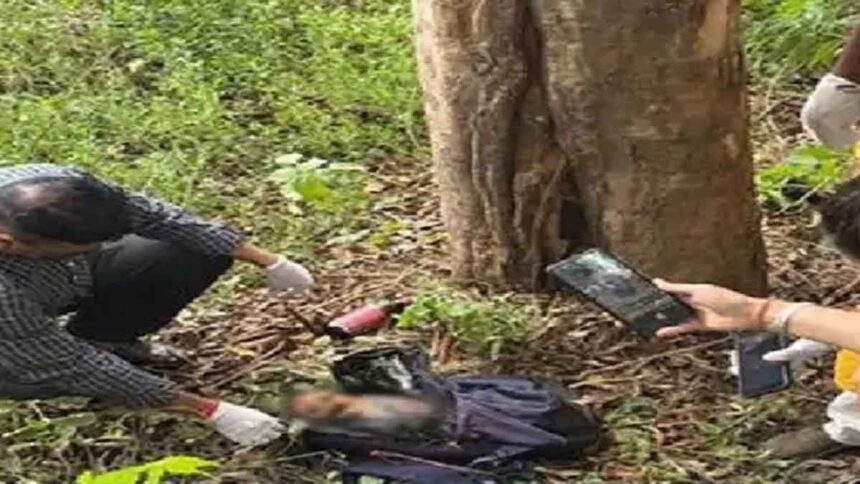 In Jalandhar, grandparents strangled a 6-month-old girl to death