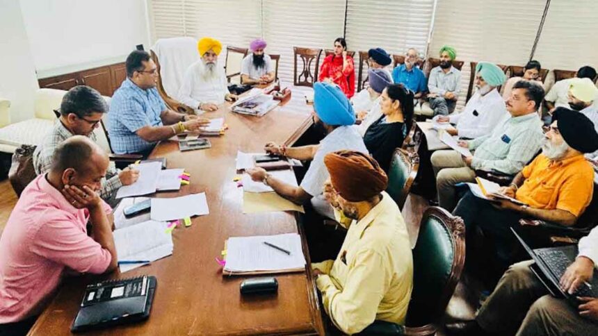 Kharif maize area in Punjab increases to 1 lakh hectare