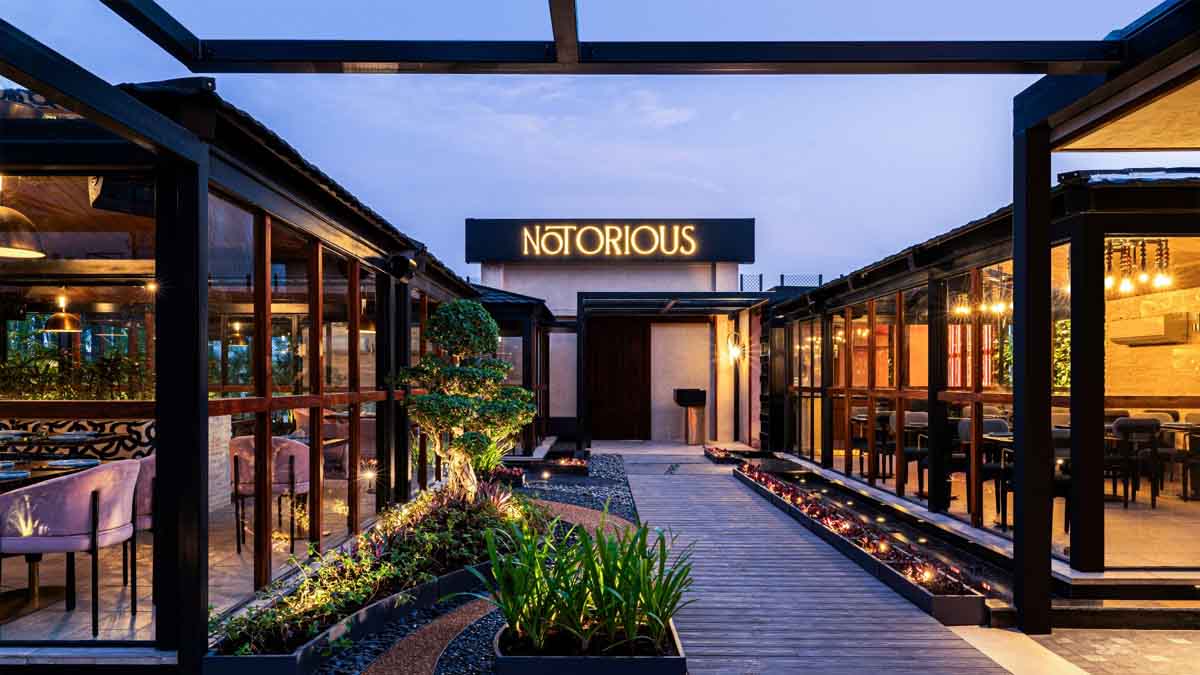 Notorious Club Jalandhar News