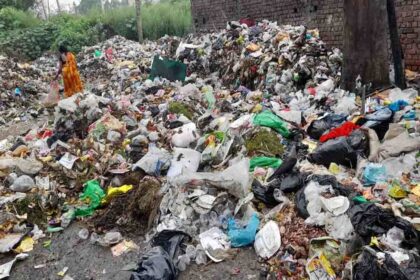 Residents approach Permanent Lok Adalat against illegal garbage dump in Jalandhar