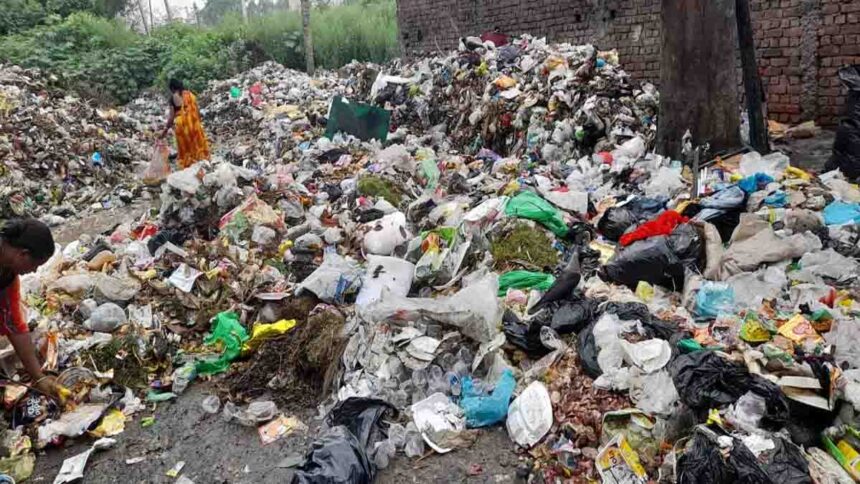Residents approach Permanent Lok Adalat against illegal garbage dump in Jalandhar