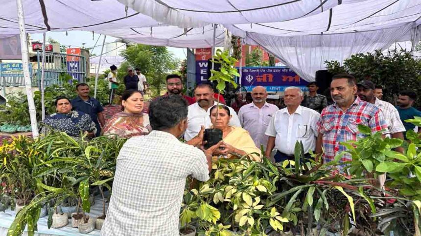 Sushil Rinku distributed Saplings on the death anniversary of his father late Shri Ramlal ji
