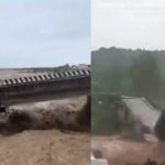 R- The bridge on Sahar Khad of Pathankot-Jammu also broke. L- The old Chakki Bridge of Pathankot connecting to Himachal was washed away.