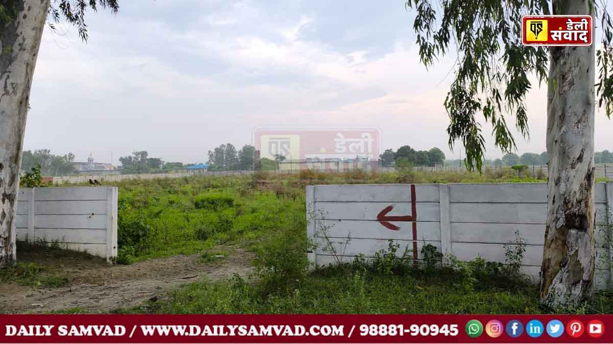 जालंधर में झंडूसिंघा से पहले काटी गई दो अवैध कालोनियां, तहसील और पुडा के अफसरों ने खाई लाखों रुपए की मलाई, CM आफिस में हुई शिकायत