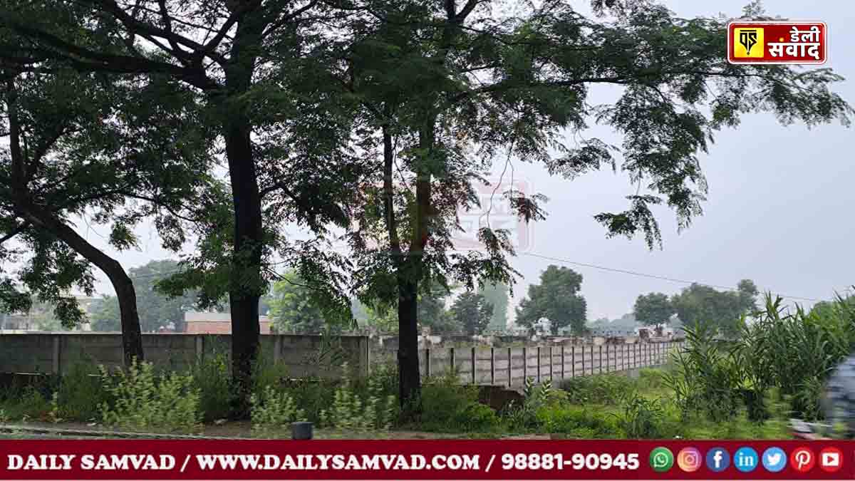 जालंधर में झंडूसिंघा से पहले काटी गई दो अवैध कालोनियां, तहसील और पुडा के अफसरों ने खाई लाखों रुपए की मलाई, CM आफिस में हुई शिकायत