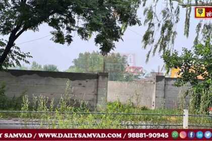 जालंधर में झंडूसिंघा से पहले काटी गई दो अवैध कालोनियां, तहसील और पुडा के अफसरों ने खाई लाखों रुपए की मलाई, CM आफिस में हुई शिकायत