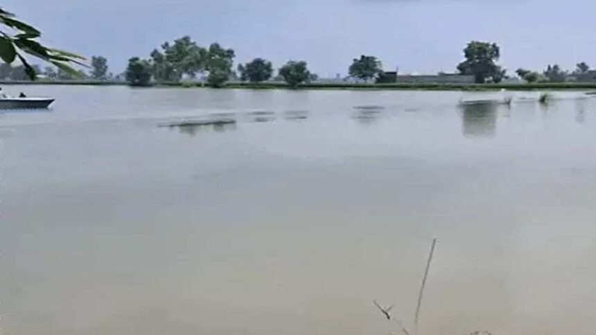 Flood In Punjab