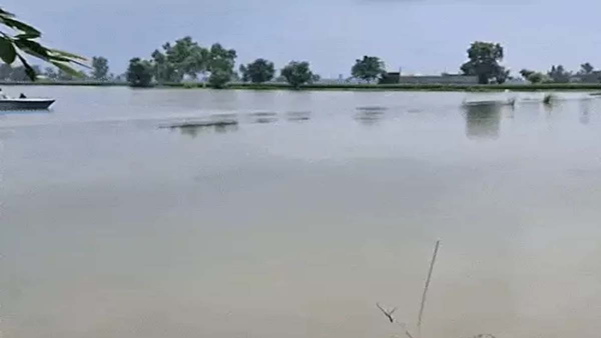 Flood Alert In Punjab