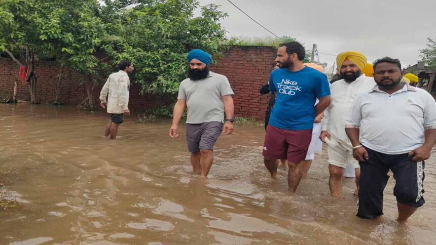 AAP MPs announced to use privilege fund for flood relief work